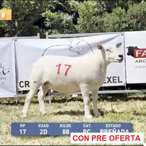 la-sonada-lote-8_741690289