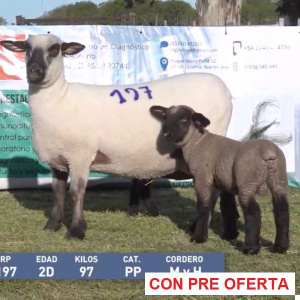 la-union-lote-27_45156112