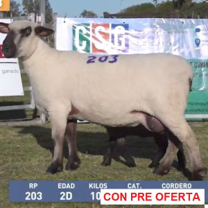 la-union-lote-33_1686289642