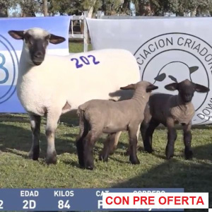 la-union-lote-35_951263814