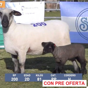 la-union-lote-37_2090911881