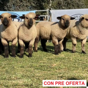 la-union-lote-50_1158926310