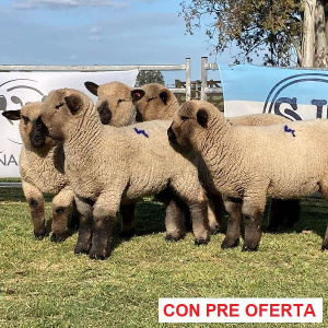 la-union-lote-51_1121325236