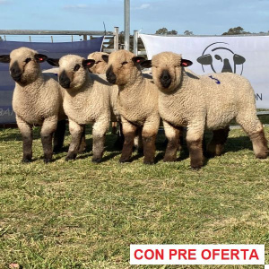 la-union-lote-52_1667158121