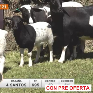 lote-21-4-santos_1824603415