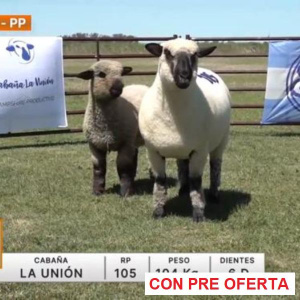 lote-21-la-union_1747297923