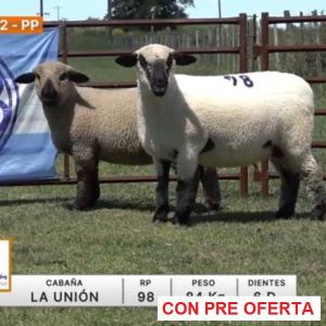 lote-22-la-union_165399182