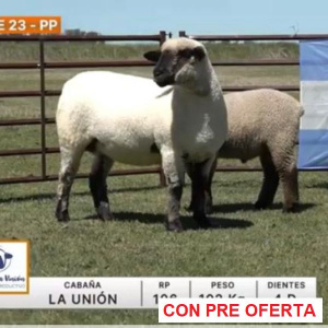 lote-23-la-union_1344457947