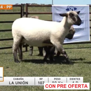 lote-24-la-union_1082229317