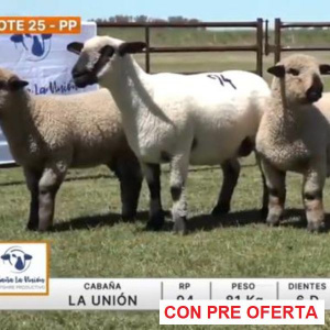 lote-25-la-union_1035893707