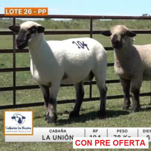lote-26-la-union_1422553849