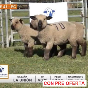 lote-41-la-union_1526460766