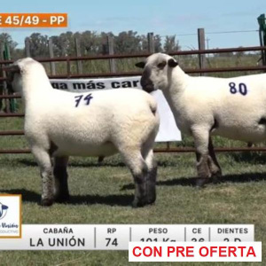lote-45-49-la-union_579835505