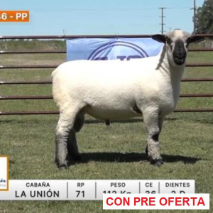 lote-46-la-union_1940715581