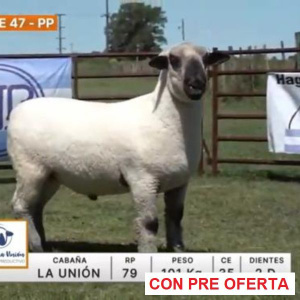 lote-47-la-union_851926547