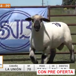 lote-48-la-union_1644710887