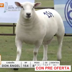 lote-52-don-angel_785831680