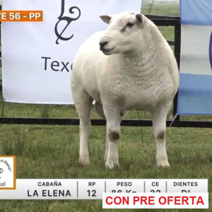 lote-56-la-elena_247716829
