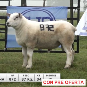 lote-60-la-elena_1100335218