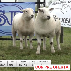 lote-62-la-elena_788292138