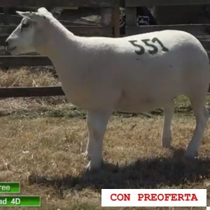 lote1-rp551_935585243