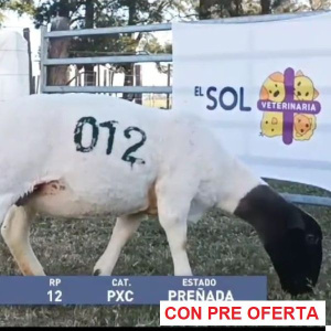 lote24-rp12_1580100491