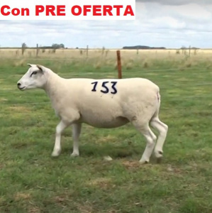 lote26-pre_1265858207