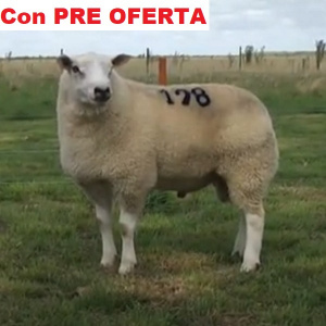 lote7-pre_1973411450