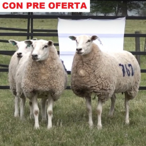 lote76-pre
