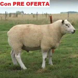 lote9-pre_1795162104