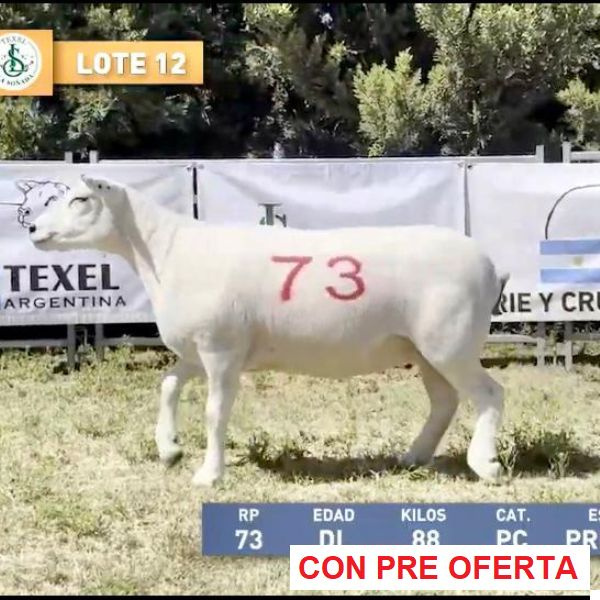 la-sonada-lote-12_1921349325