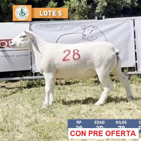 la-sonada-lote-5_932862100