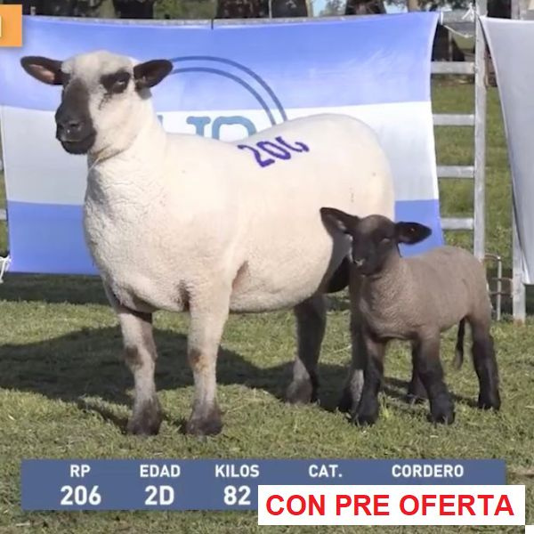 la-union-lote-31_765958059