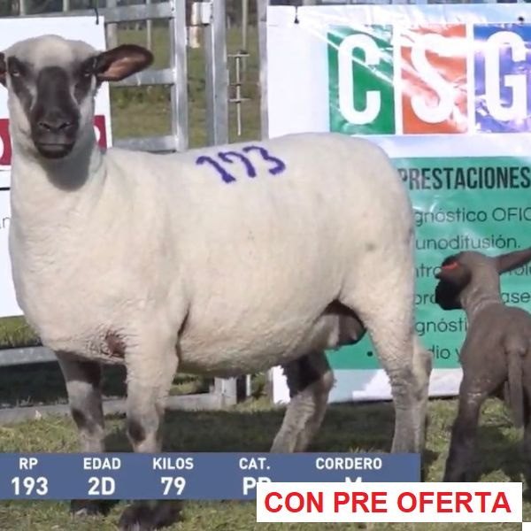 la-union-lote-39_2053157030