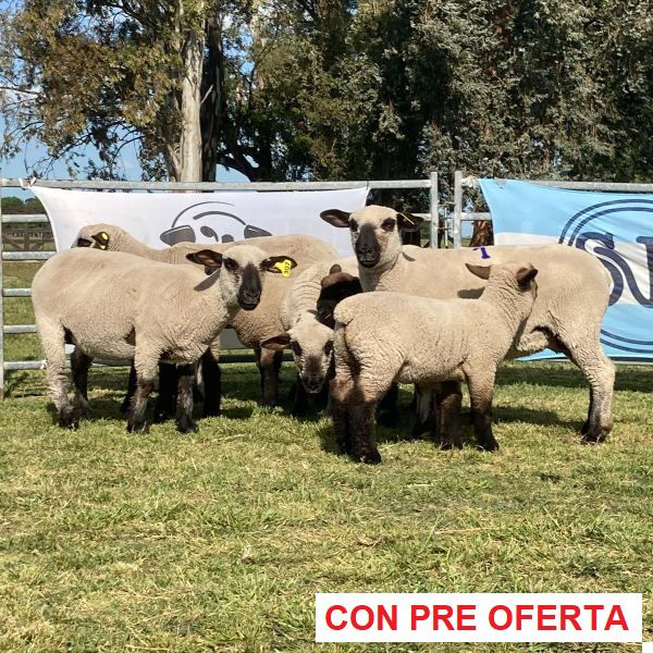 la-union-lote-48_90089056