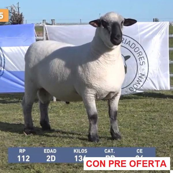 la-union-lote-55_332495451