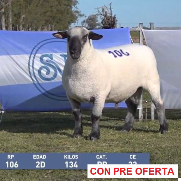 la-union-lote-57_1463516134