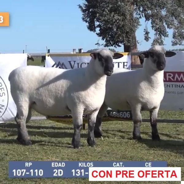 la-union-lote-63_1556852849