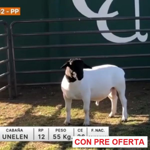 lote-02-unelen_290521726