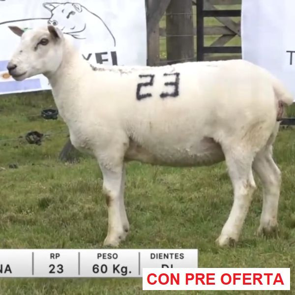 lote-04-la-elena_1231645479