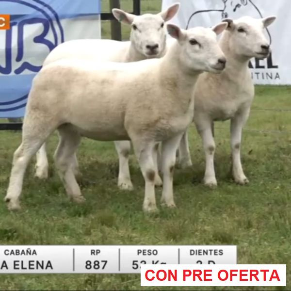 lote-17-la-elena_408346089