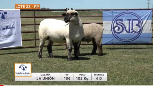 lote-23-la-union_565440086