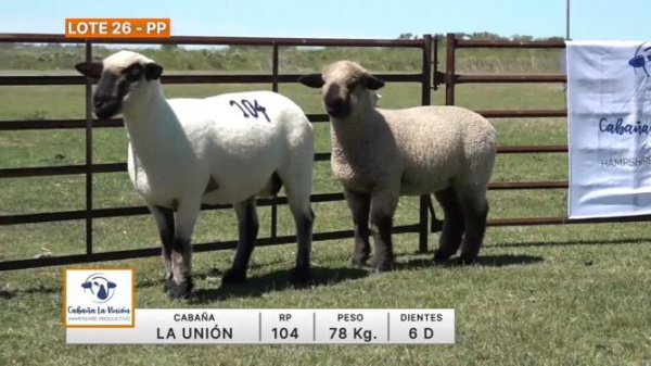 lote-26-la-union_1616902817