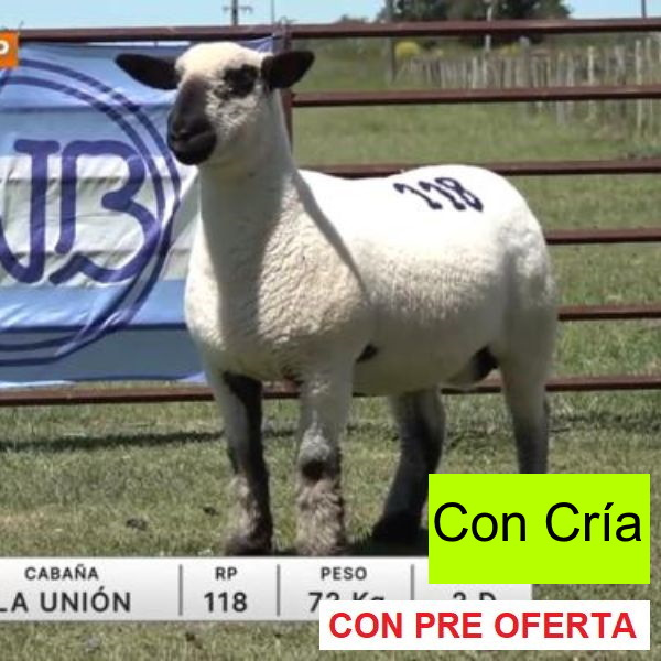 lote-27-la-union_617740221