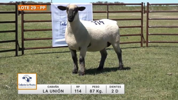 lote-29-la-union_405681611