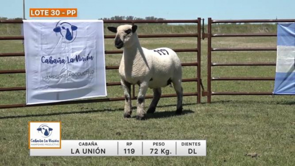 lote-30-la-union_1160314903