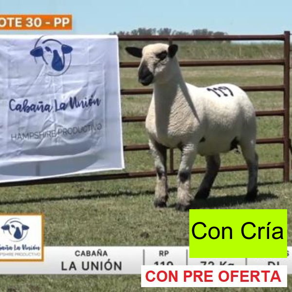 lote-30-la-union_1460271682