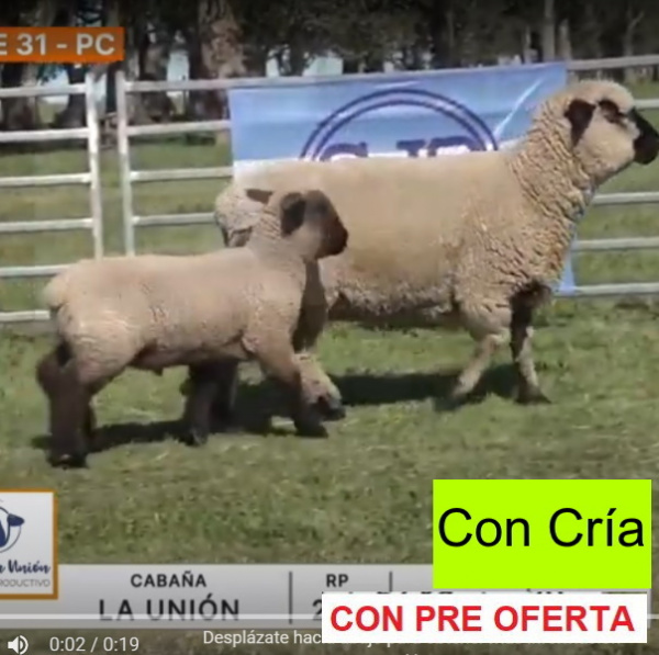 lote-31-la-union-2_33224365