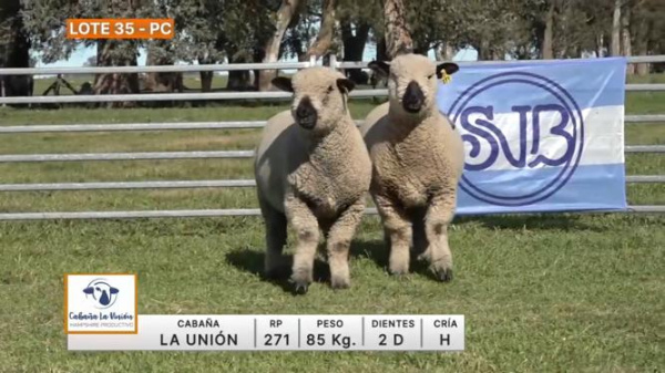 lote-35-la-union_74035023