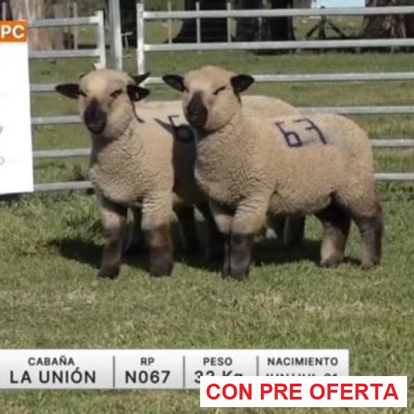 lote-39-la-union_1222343634